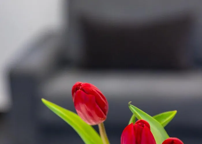 Le Porte Di Partenope Bed & Breakfast Neapel