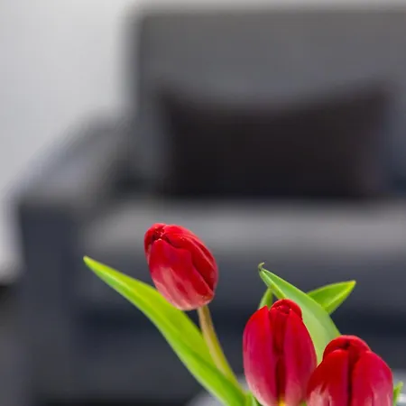 Le Porte Di Partenope Bed & Breakfast Napels
